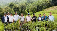 दोर्दीको अकबरे खुर्सानी बारीमा बन्दिपुरका जनप्रतिनिधि र कर्मचारी