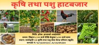 मर्स्याङ्दी गाउँपालिकामा साप्ताहिक रुपमा हाटबजार सुरु