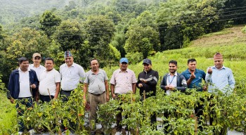 दोर्दीको अकबरे खुर्सानी बारीमा बन्दिपुरका जनप्रतिनिधि र कर्मचारी