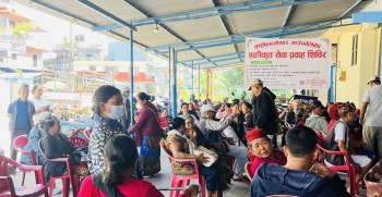 पोखरामा क्व्होलासोथारको एकीकृत सेवा शिविर, ८१४ वटा सेवा प्रवाह