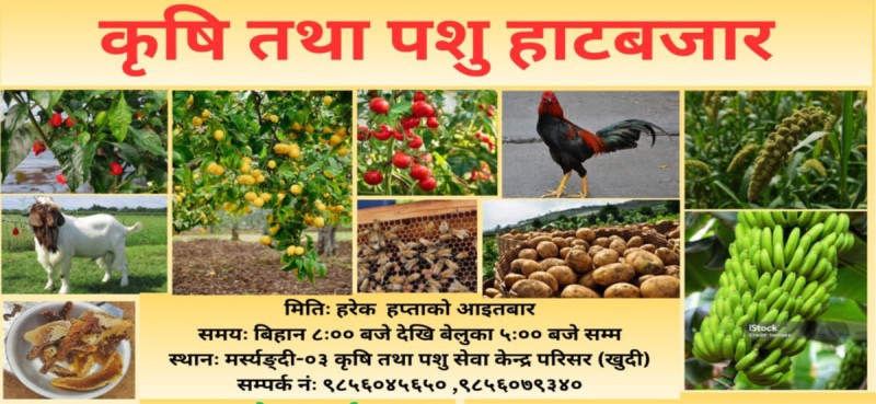 मर्स्याङ्दी गाउँपालिकामा साप्ताहिक रुपमा हाटबजार सुरु