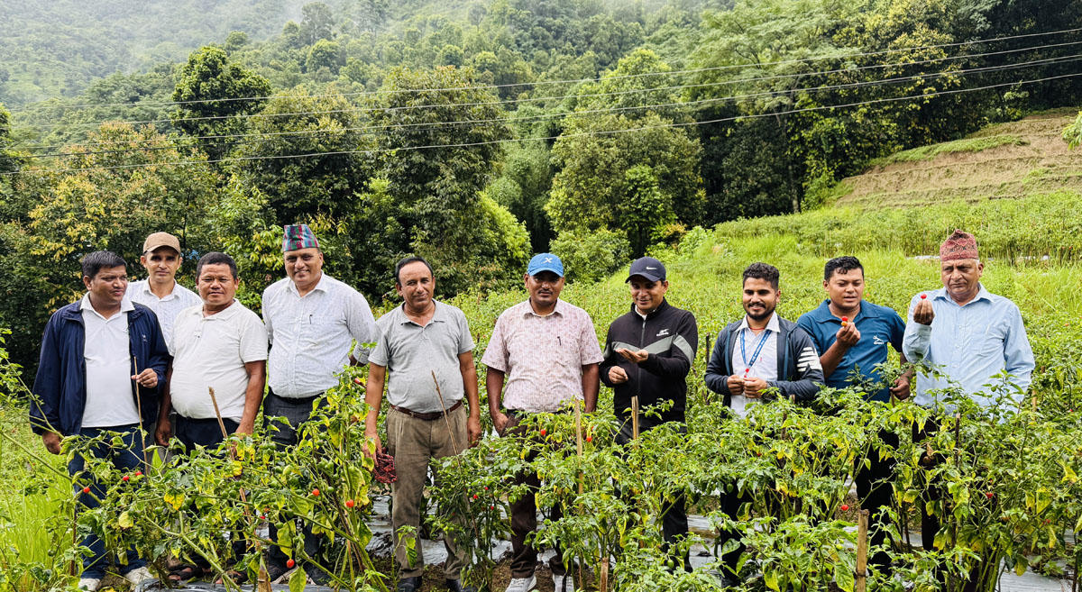 दोर्दीको अकबरे खुर्सानी बारीमा बन्दिपुरका जनप्रतिनिधि र कर्मचारी